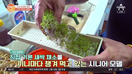 배불뚝에서 근육질로? 꾸준한 운동으로 노년에 되찾은 건강♨