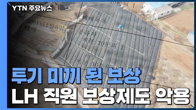 원주민 보상 '당근책'...LH 직원 투기 '미끼'로 전락 / YTN