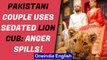 Pakistani couple's wedding photoshoot with sedated lion cub goes viral, faces backlash|Oneindia News