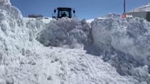 - Van Büyükşehir Belediyesi'nin kar mesaisi sürüyor