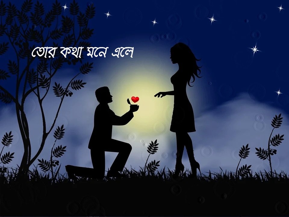 Bojhabo Ki Kore || Bojhabo Ki Kore Lyrical || Haripada Bandwala || Ronamtic bengali song