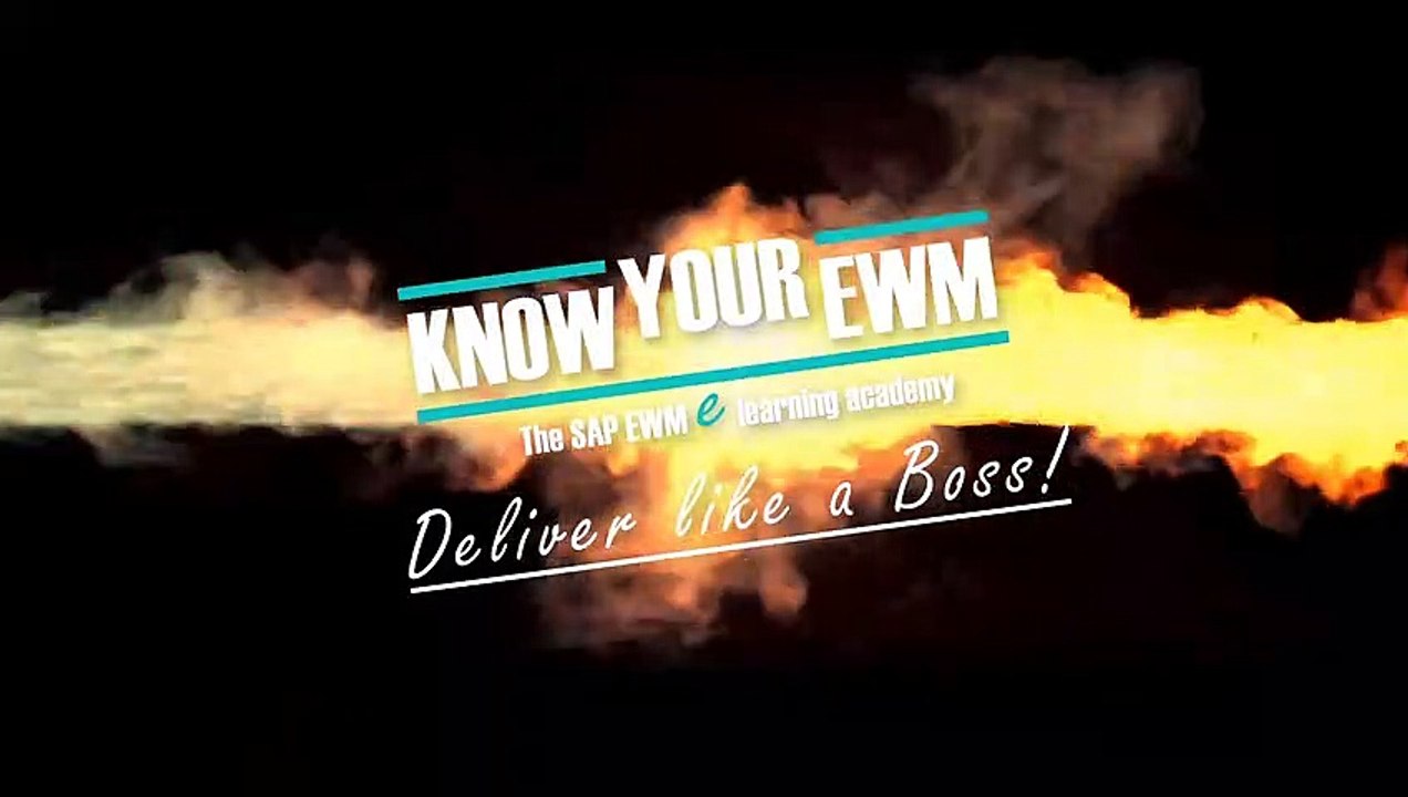 SAP EWM Tutorial - Stock Comparison between ERP and SAP Extended Warehouse Management