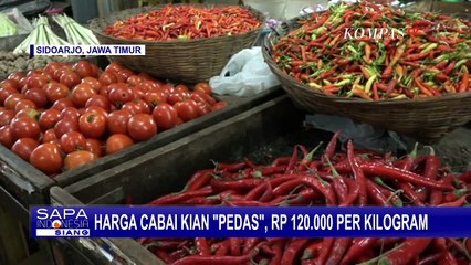 Rp 120 Ribu per Kilogram, Harga Cabai Kian Pedas