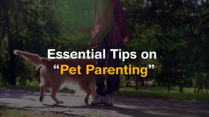 Essential Tips on “Pet Parenting”