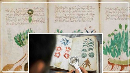 240 पन्नों की वो 'रहस्यमयी' किताब, जिसे आजतक कोई पढ़ नहीं पाया, वजह हैरान करने वाली है