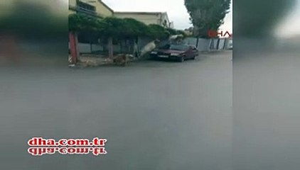 Yer İzmir... Bu görüntüler sosyal medyayı salladı