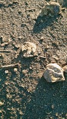 براكين خامدة في ولاية البويرة