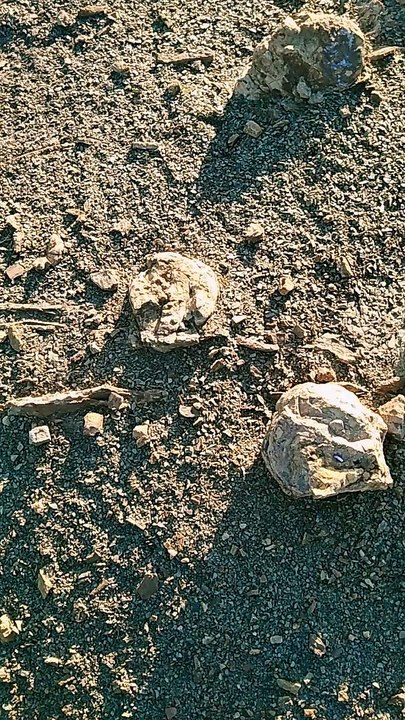 براكين خامدة في ولاية البويرة