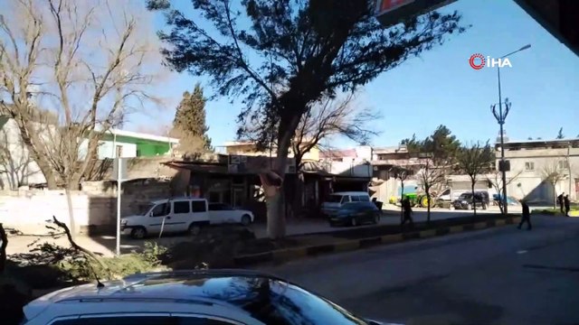 Şiddetli rüzgar ağaçları devirdi, çatıları uçurdu