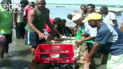 Lamu Fishermen In Dilemma As Fish Stocks Reduce Drastically