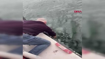 HALİÇ'TE DAHA ÖNCE İKİ KİŞİ KURTARMIŞTI BU KEZ DE KÖPEĞİ KURTARDI