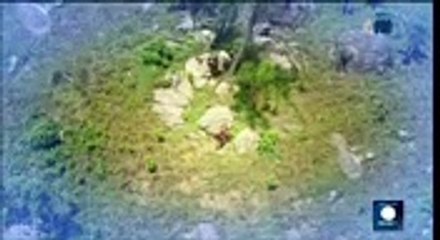 NOVELA GÊNESIS CAPITULO 43