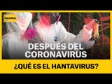 ¿QUÉ ES EL HANTAVIRUS? Después del coronavirus, el hantavirus: primer muerto en China