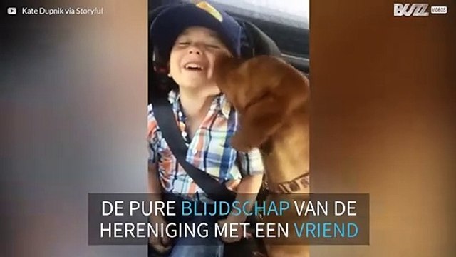 Deze hond is superblij om zijn kleine eigenaar te zien