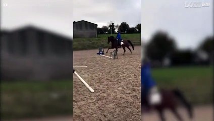 Zelfs een klein obstakel is te groot voor dit paard!