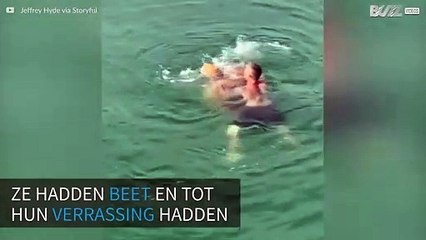 Reuzenschildpad gered na vast te hebben gezeten aan een haak