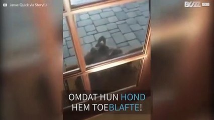 Havik weigert voordeur te verlaten na door hond te zijn toegeblaft