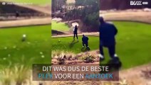 Een vertederend huwelijksaanzoek op een golfbaan