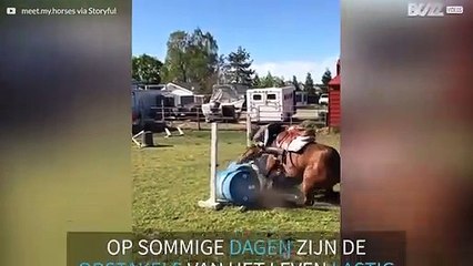 Koppig paard weigert over obstakel te springen