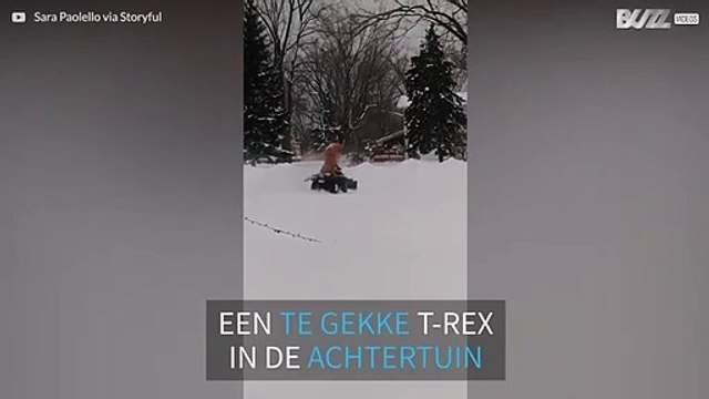 Dinosauriërs spelen ook graag in de sneeuw!