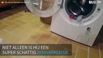 Minivarken haalt schone kleren uit wasmachine!