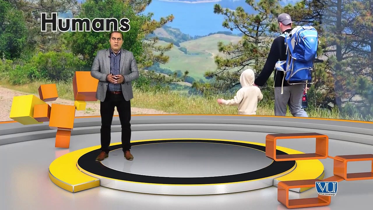 38 Graphic Design  Theory What is Photography Why and how is it important in Graphic Design