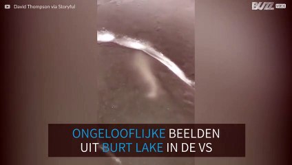 Reusachtige vis zwemt onder het ijs van Lake Michigan