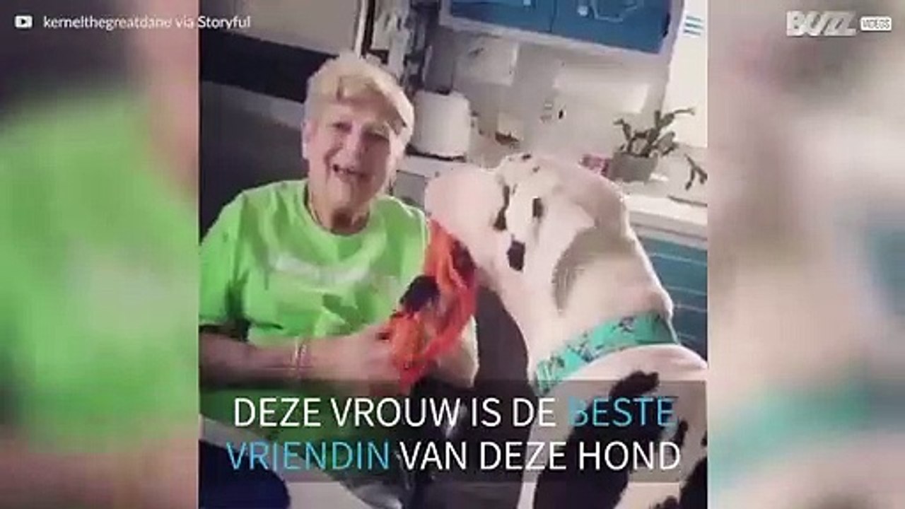 De beste vriend van deze 90-jarige vrouw is een...