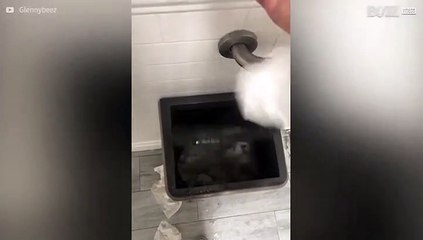 Deze wc heeft een ontwerpfout