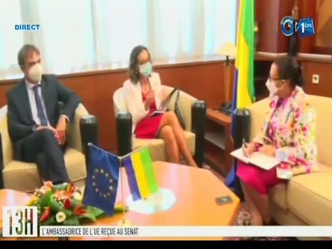 RTG/ Audience du président du Senat avec l’ambassadrice de l’union européenne pour le Gabon