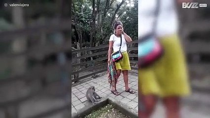 Aapje eet haar van toerist