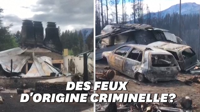 En Argentine, ces feux de forêts ont tout détruit sur leur passage