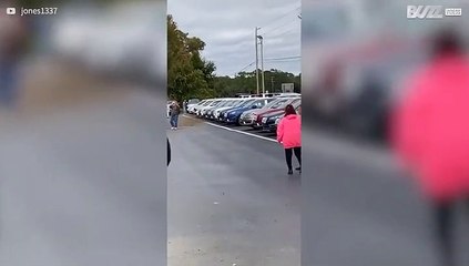 Flauwgevallen automobilist veroorzaakt huiveringwekkend ongeluk