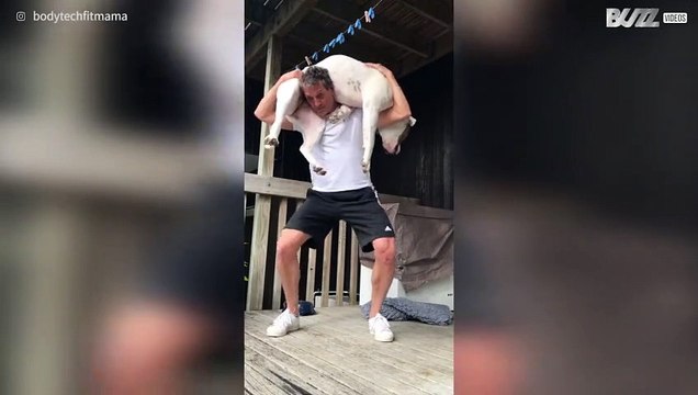 Man doet squats met een gigantische hond op zijn rug