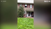 [TRANSLATE] - Ball shot through 1st floor window hits cup in front yard