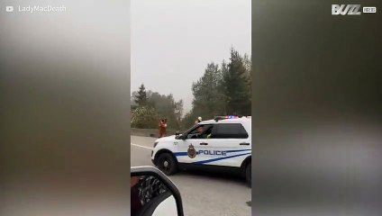 [TRANSLATE] - Driver captures train accident in Canada 1