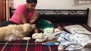 Dog can't hide jealousy towards new baby! -1