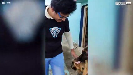 Young guy has emotional reunion with dog -1