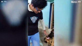 Young guy has emotional reunion with dog -1
