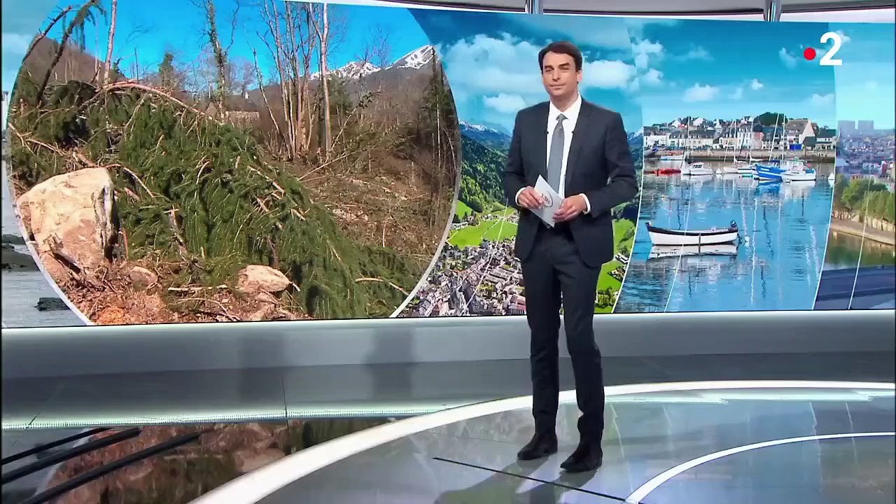 Ariège : 300 chênes centenaires abattus par des bûcherons espagnols, les propriétaires sont furieux