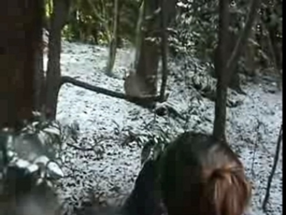 Heian Neige2