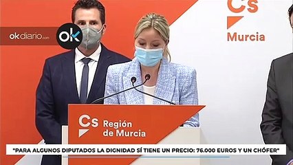 Martínez Vidal (Cs): "Para algunos diputados la dignidad sí tiene un precio: 76.000 euros y un chófer"