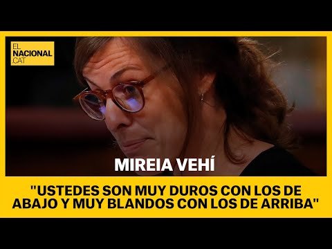 CONGRESO | VEHÍ: Ustedes son muy duros con los de abajo y muy blandos con los de arriba