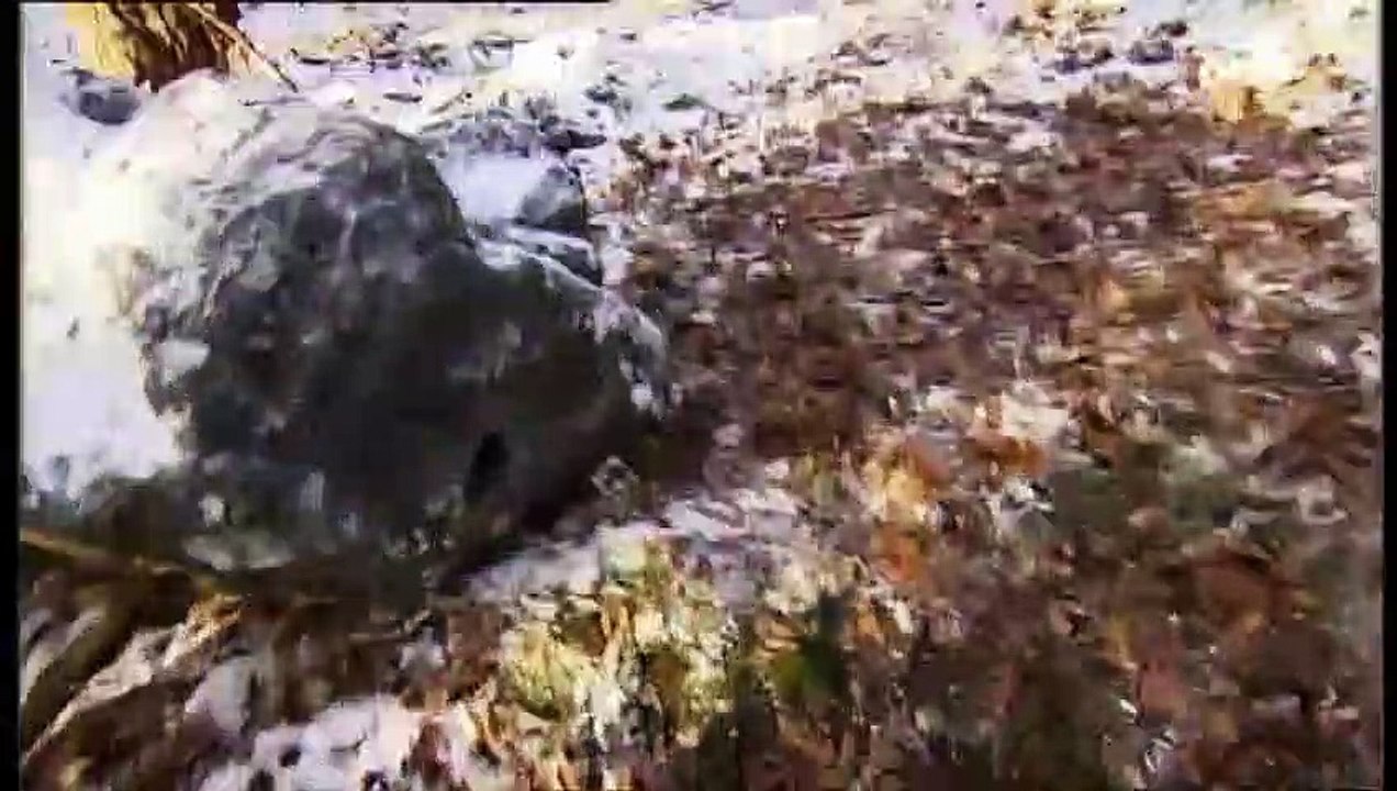 Sylvias Selbstmordversuch - Sturm der Liebe - Spannende Momente