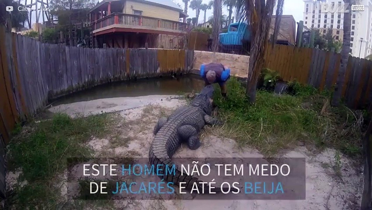 Momento assustador: Homem beija jacaré
