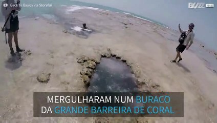 Mergulho em buraco acaba em gruta de corais