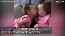 Bebés gémeas dão beijinhos e abraçam-se com ternura no sofá