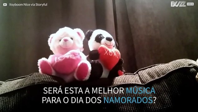 Ursos de peluche divertem-se no dia dos namorados