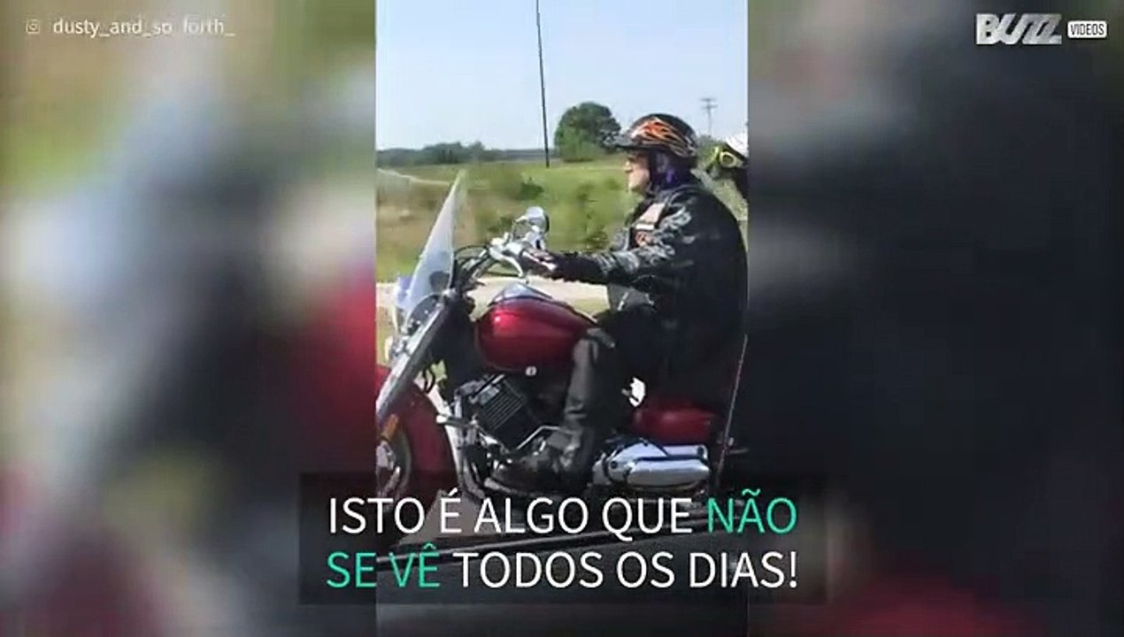 Condutor encontra o cão radical a andar de mota nos EUA