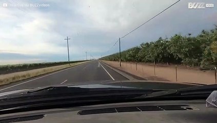 Condutor evita choque frontal por pouco